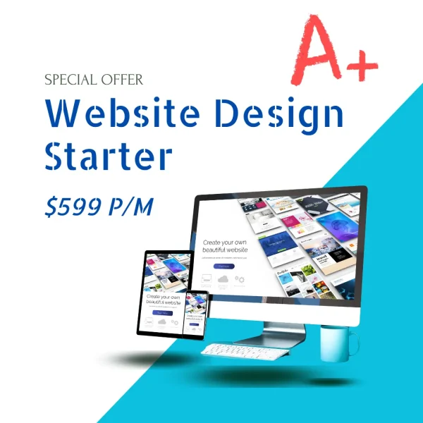 Website Design Starter Package